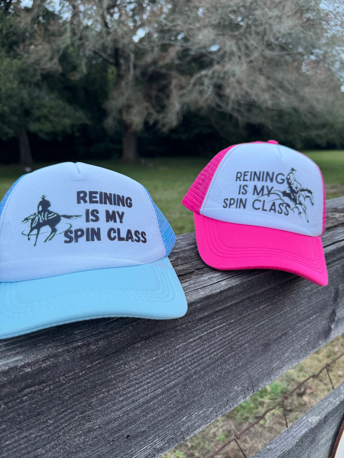 Reining Class