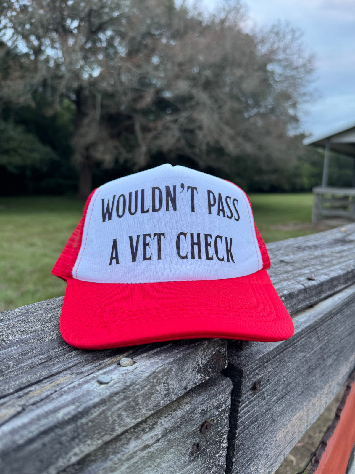 Pre-purchase Exam