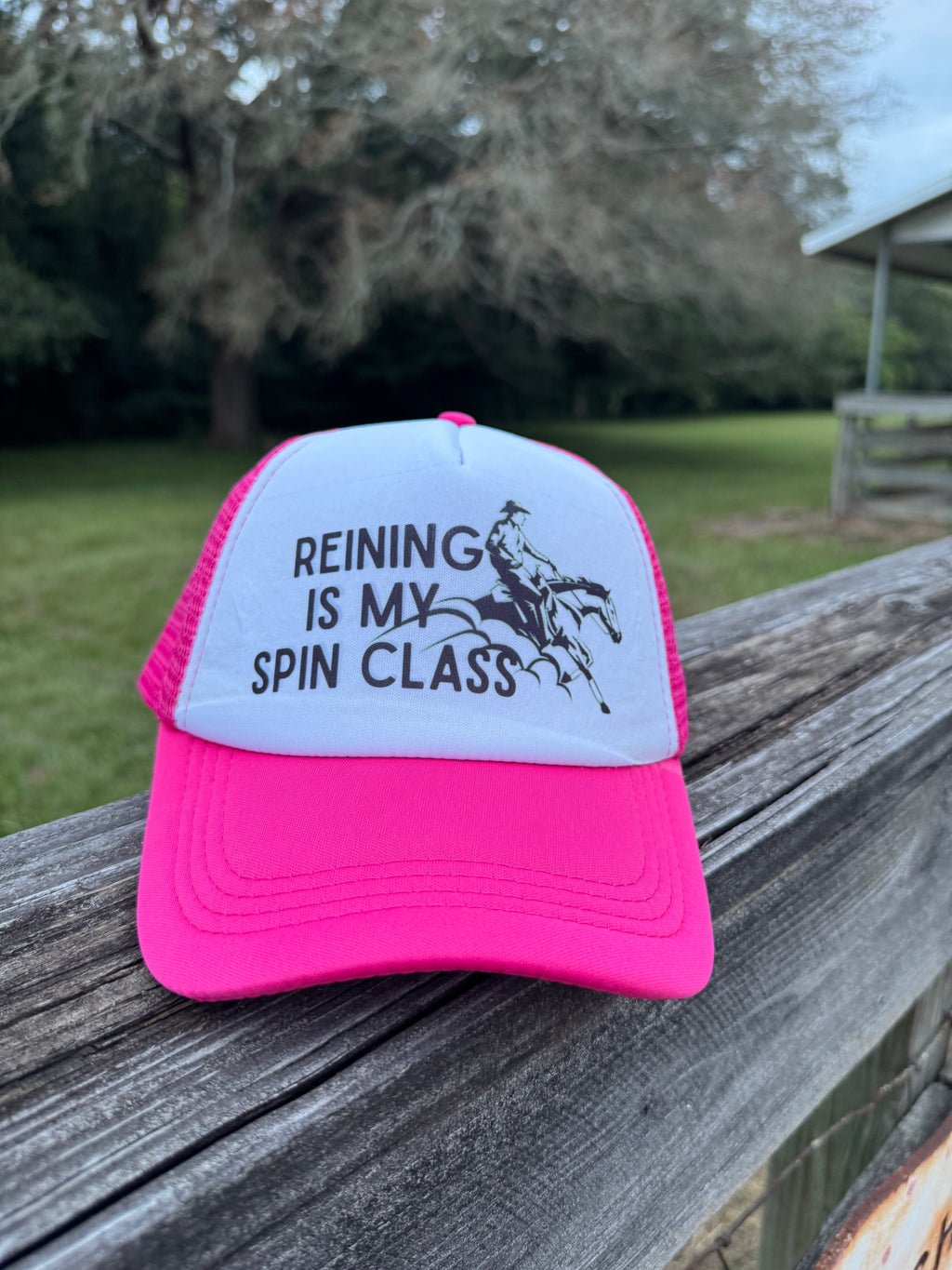 Reining Class
